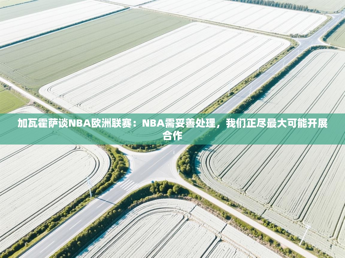 加瓦霍萨谈NBA欧洲联赛：NBA需妥善处理，我们正尽最大可能开展合作  第1张