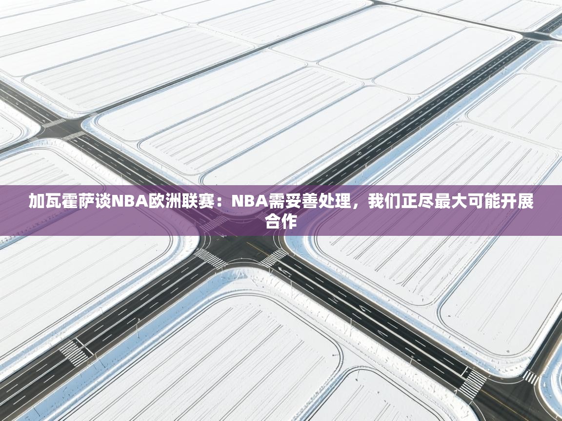 加瓦霍萨谈NBA欧洲联赛：NBA需妥善处理，我们正尽最大可能开展合作  第2张